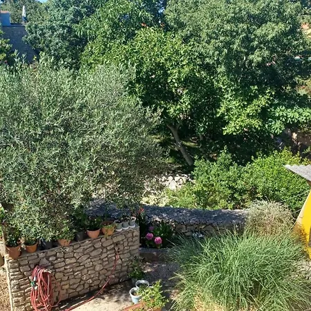 Rovenska Guest house
